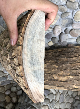 长石斛吊栽板 樟木板　带皮樟树板替代实木 墙贴原木天然植料杉木