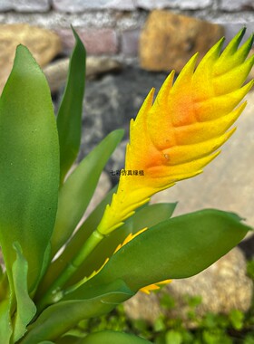 仿真绿植造景装饰假花莺歌凤梨软胶手感客餐厅摆件多肉植物仿真花