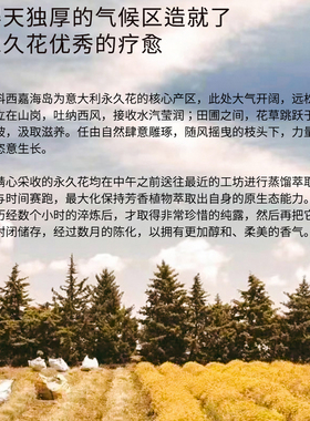 四月April科西嘉永久花纯露湿敷