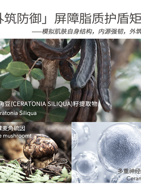 保湿舒缓强韧滋润密罗木精华面霜