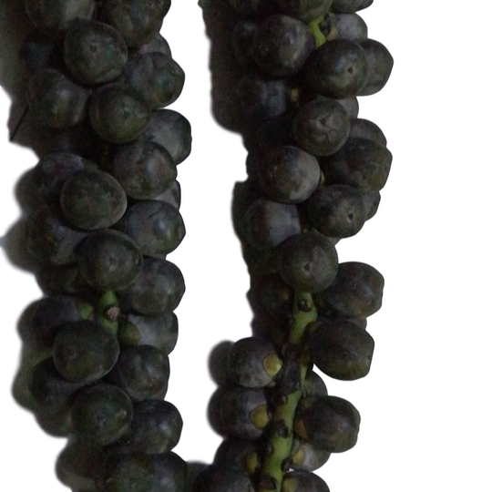 Zhuifeng Guosihu fresh fruit soaked wine