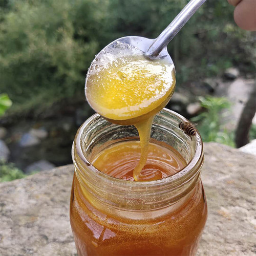 神农架天然百花土蜂蜜结晶原蜜农家深山自产老冬蜜500g - 图0