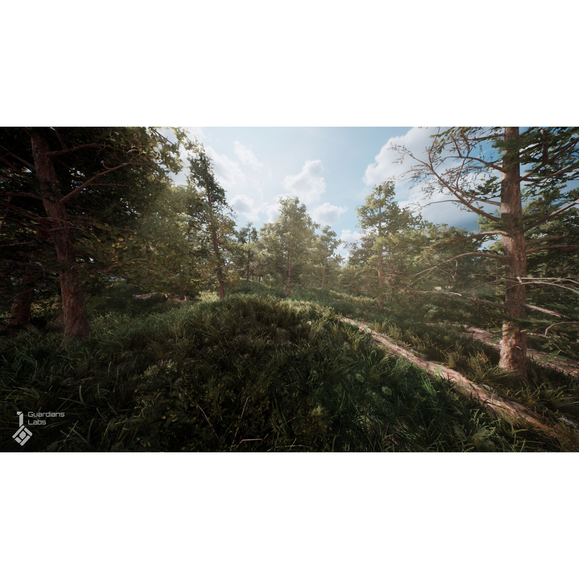 UE5UE4 Scots Pine Tree Pack 苏格兰松林树林环境场景4.27 5.1 - 图1