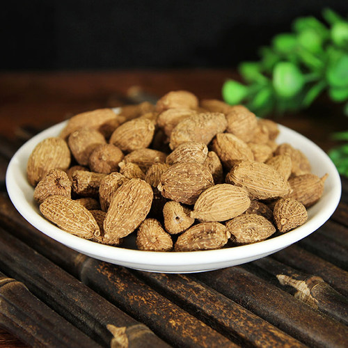 砂仁阳春春砂仁500g 天然纯春砂仁 野生春砂仁广东春砂仁包邮 - 图1