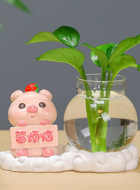 水培摆件莫生气办公室中式家居桌面装饰绿植花瓶室内感小摆件