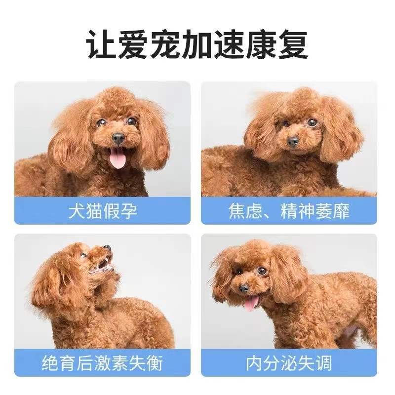 蓝特斯衡宝宠物犬猫狗假孕内分泌失调节育后身体调节猫咪狗狗60ml - 图0