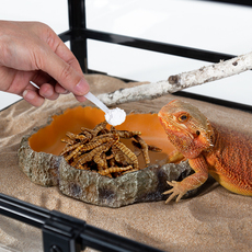 Насекомое питания рептилий/мин reptizoo粉含d3守宫变色龙陆龟