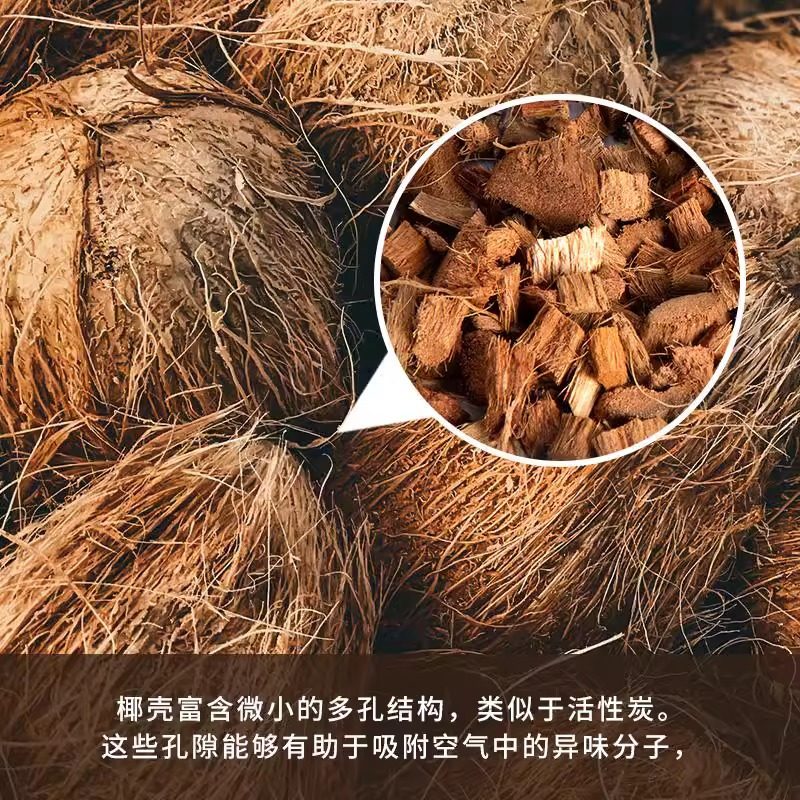 Reptizoo爬宠垫材椰壳颗粒陆龟缸除味专用盾甲鬃狮蜥蛇饲养箱造景,淘宝优惠券,粉丝福利购,淘宝优惠卷