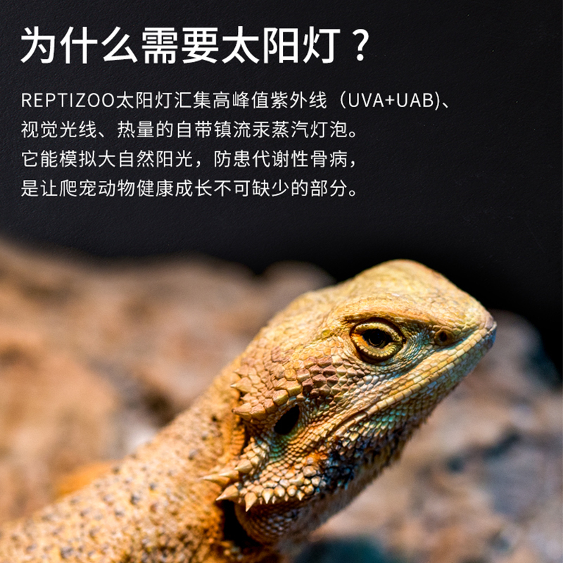 reptizoo爬虫全光谱太阳灯爬宠uva加热灯uvb灯乌龟蜥蜴鬃狮晒背灯 - 图2