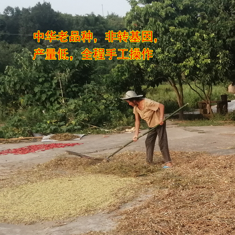 农家自种土黄豆 绿篮子老品种3斤青皮绿皮小黄豆非转基因打豆浆 - 图1