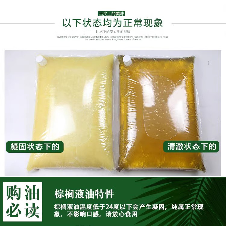 海皇牌棕榈油22L商用烘焙起酥油炸鸡排薯条油炸店专用油22升整箱