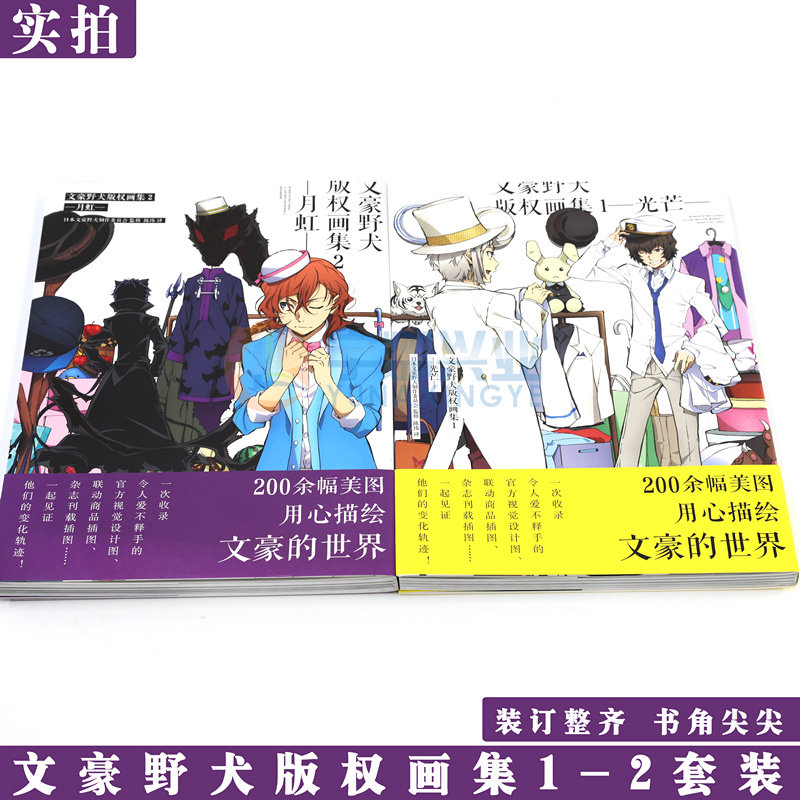现货 正版 文豪野犬版权画集1光芒+2月虹 套装2册文豪小说官方画集收录官方视觉设计图联动商品插图杂志插图书天闻角川