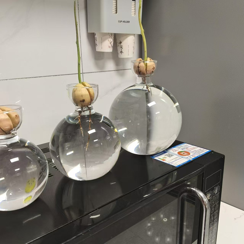 牛油果水培花瓶牛油果核种子种植养成专用花瓶容器器皿大号园艺,淘宝优惠券,粉丝福利购,淘宝优惠卷