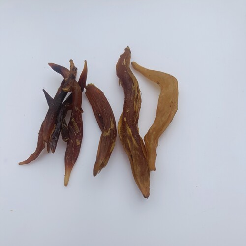 天门冬贵州深山农家自采野外生长无硫天门冬三百磅泡酒材料250克 - 图1