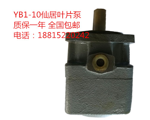 YB1-10叶片泵仙居先顶质量保一年-图0