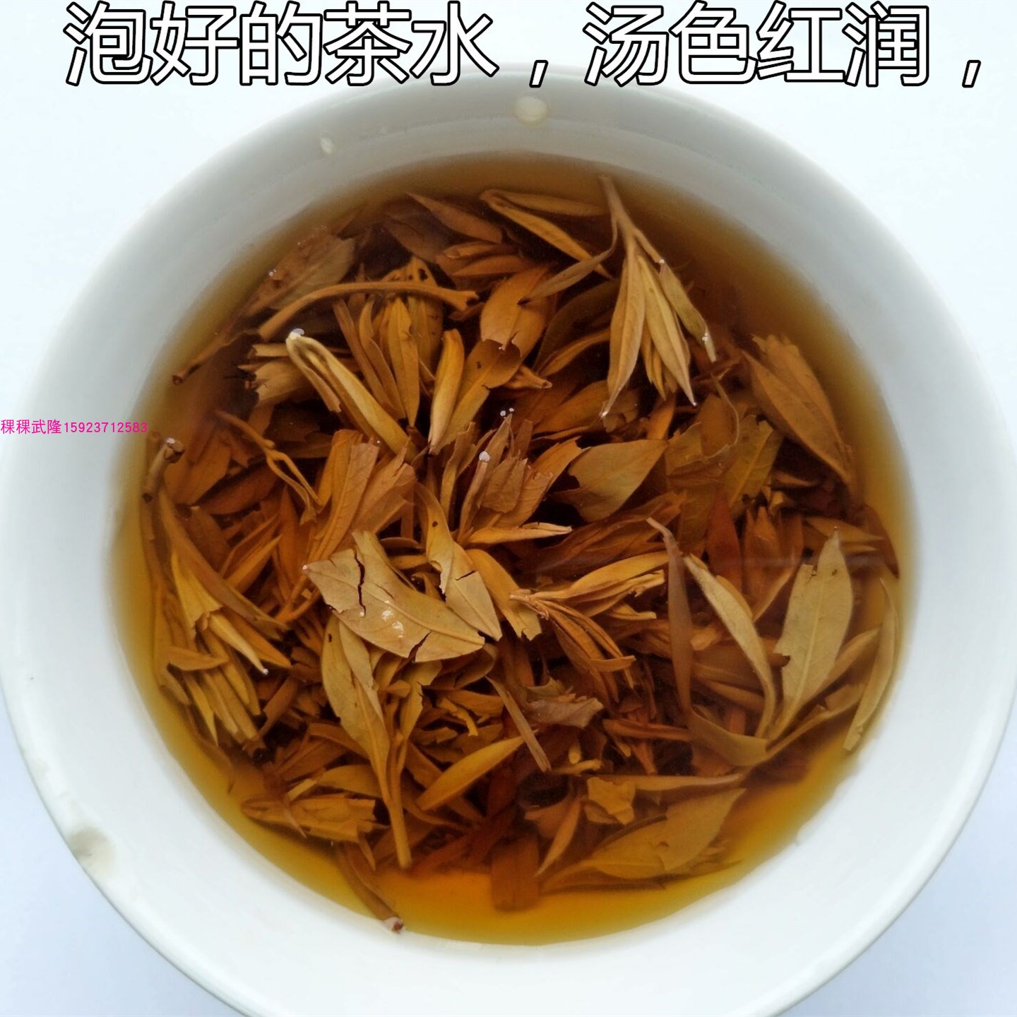 四川老鹰茶苗老荫茶树苗老鹰茶嫩茶叶红茶白茶树苗 盆栽地栽树苗 - 图3