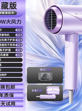 飞雕高速电吹风机家用负离子恒温大功率速干发廊专用吹风筒大风力