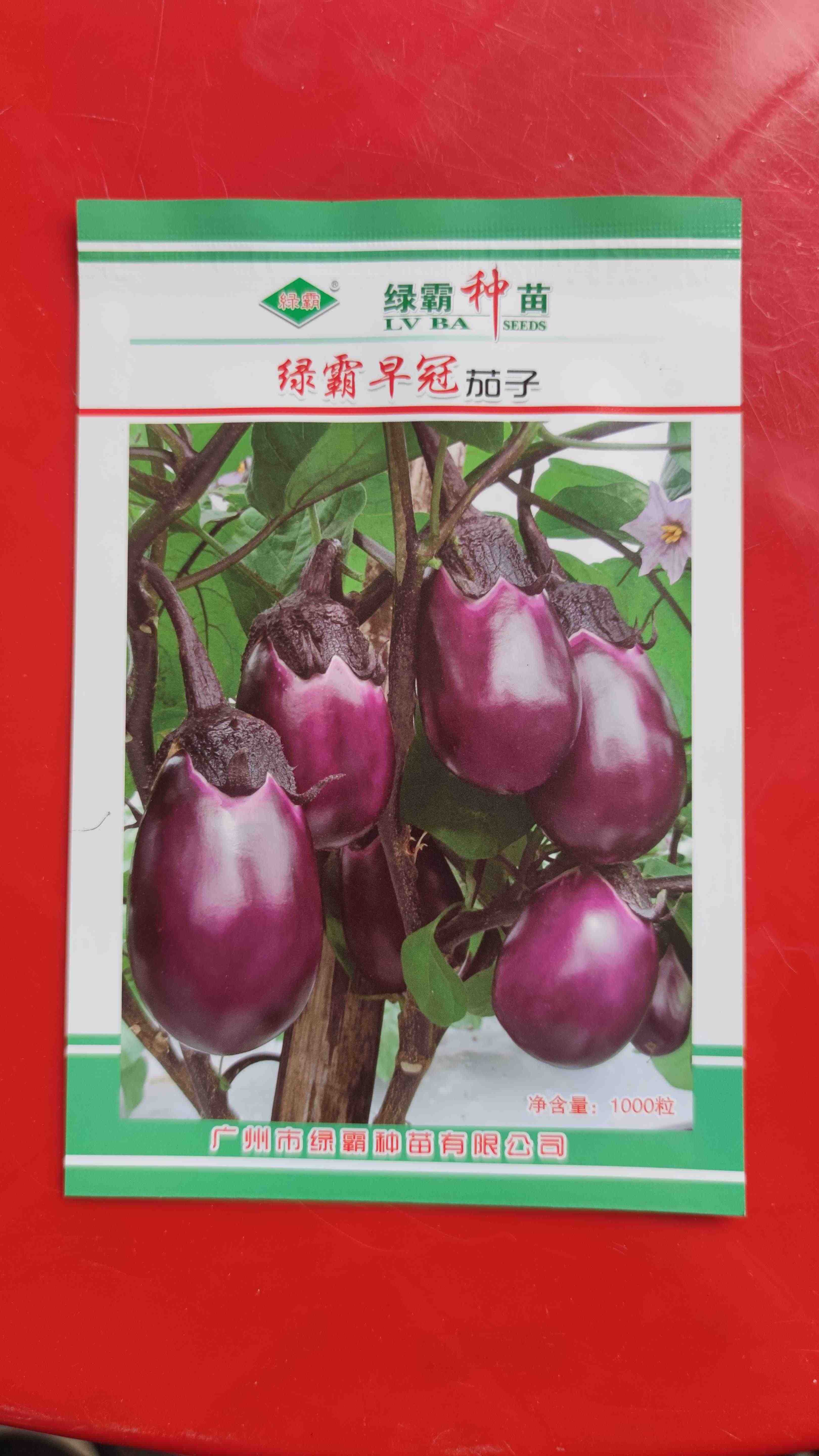 茄子种 新人首单立减十元 21年8月 淘宝海外 茄子种 新人首单立减十元 21年8月 淘宝海外