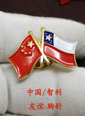 交叉挪威胸针友谊国旗徽章现货中