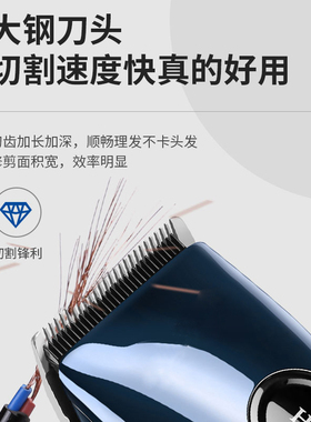 AGILEGLED/纤鹰电源式通用