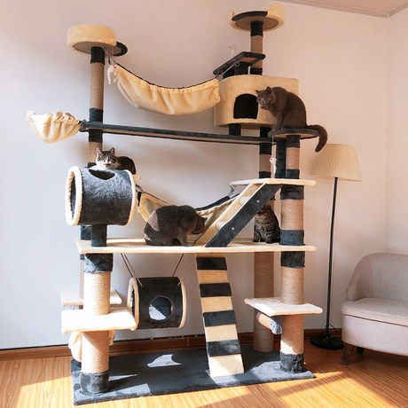 large cat climbing frame