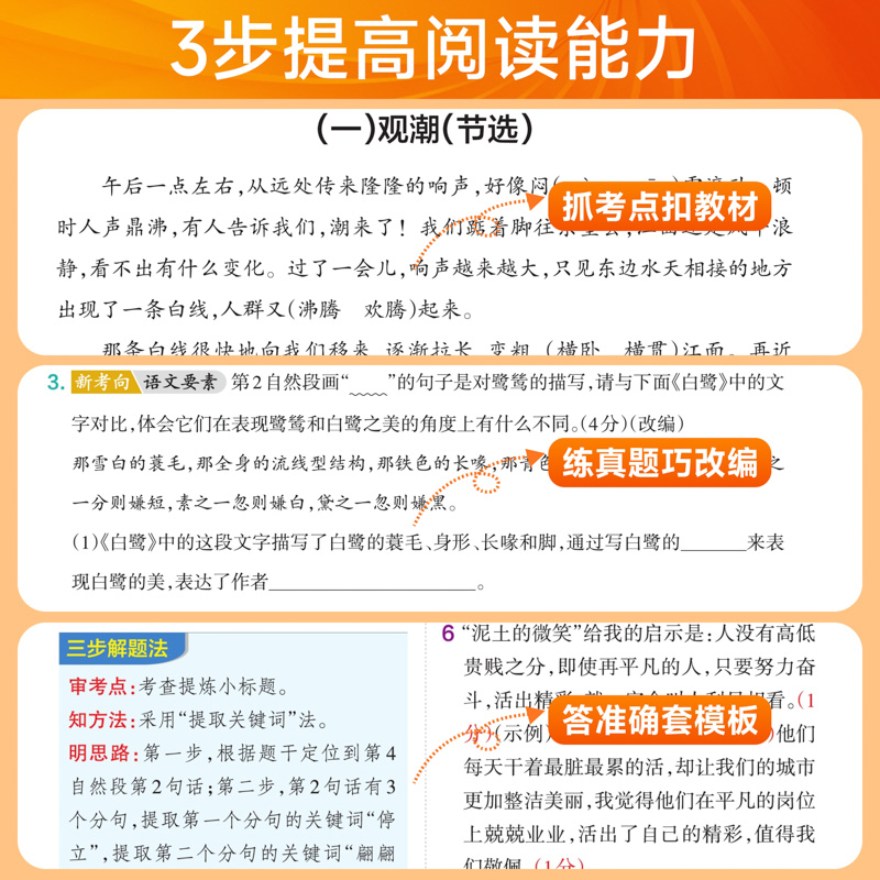 2025春pass绿卡小学同步阅读三四五六年级语文上下册同步阅读同步作文语文阅读理解抓考点练真题强化训练暑假课外阅读专项训练书