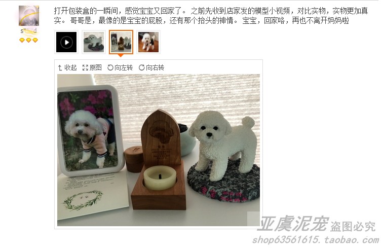 定制去世狗纪念品 手工原创陶泥比熊犬装饰 动物公仔客厅摆件送礼