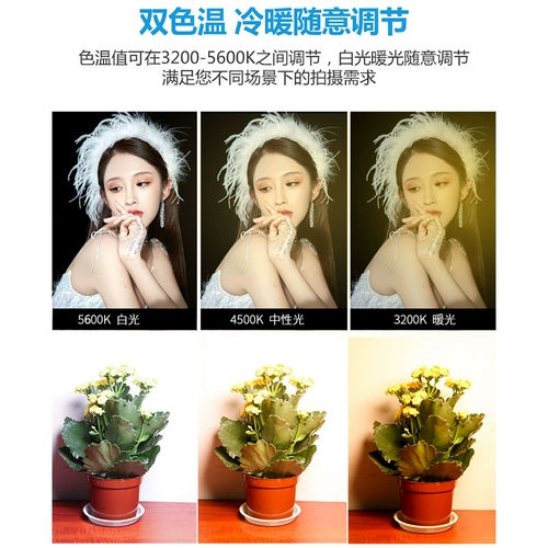 Светодиодная лампа, заполняющий свет, легкий комнатный светильник, ювелирное украшение, камера