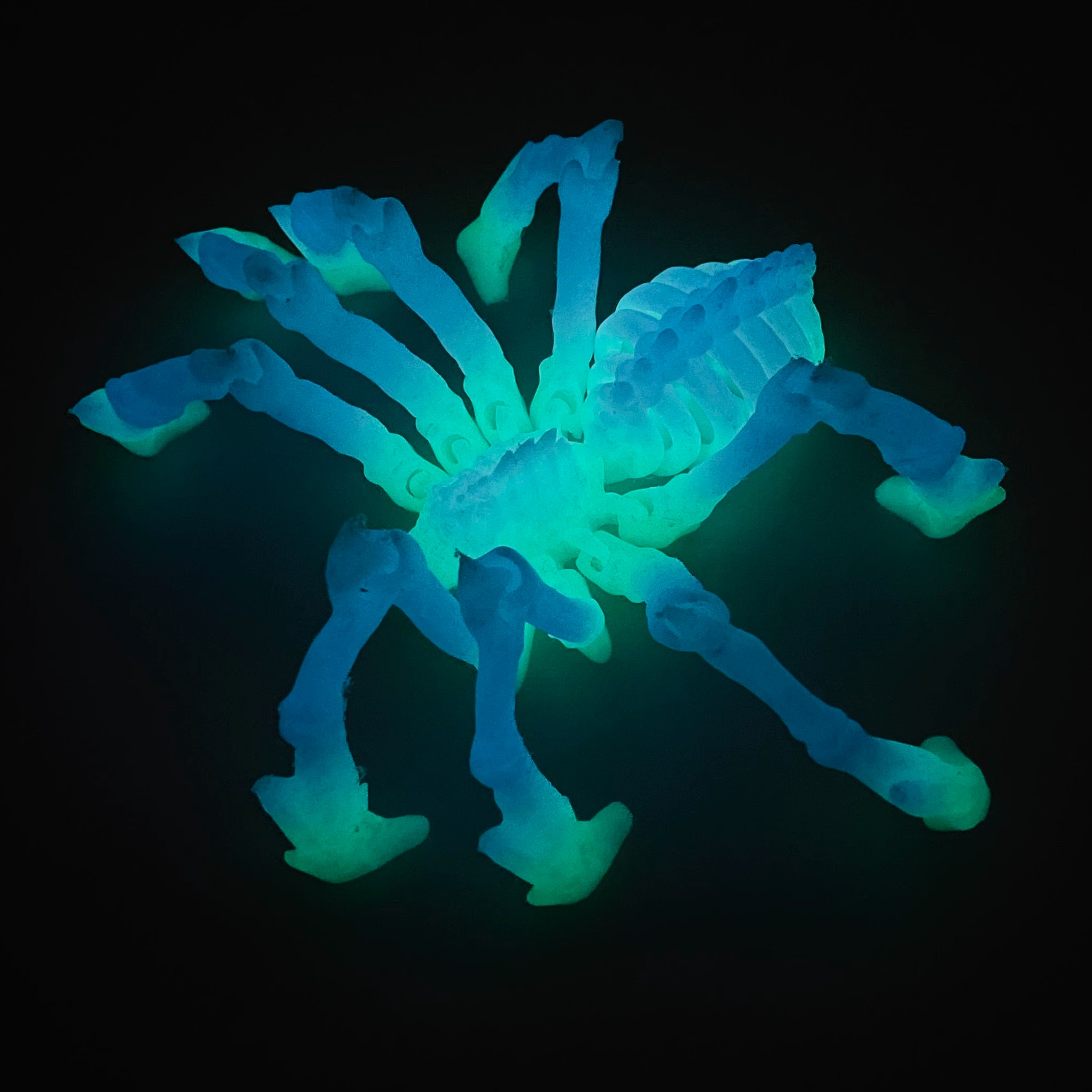 3d打印蜘蛛地狱骨架狼蛛关节可活动收缩夜光蜘蛛男孩模型玩具摆件 - 图3