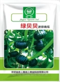 Аутентичная академия сельскохозяйственных наук Beibei Nanson Seed Green Beibei Семена тыквы Puquan Chellania Spring Spring Four Seasons Four Seasons