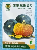 Аутентичная академия сельскохозяйственных наук Beibei Nanson Seed Green Beibei Семена тыквы Puquan Chellania Spring Spring Four Seasons Four Seasons