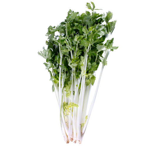 白芹菜彩芹菜小香芹西芹四季春夏秋冬季菜园盆栽好吃蔬菜种子籽孑 - 图3
