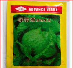 翡翠结球生菜四季春夏秋冬季可盆栽好吃耐热耐寒蔬菜种子籽种孑 - 图2