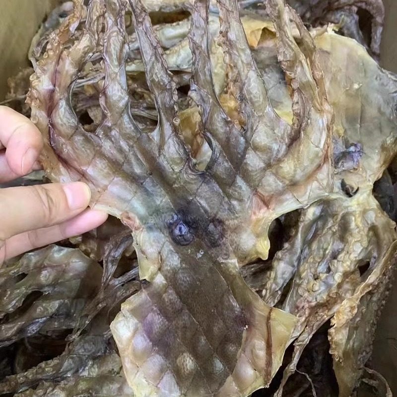 自晒淡干章鱼 八爪鱼煲汤下奶海鲜美食干货孕妇宝妈选择500克/包,淘宝优惠券,粉丝福利购,淘宝优惠卷