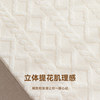 Benzhou plush bay window cushion thickened sponge cushion customization