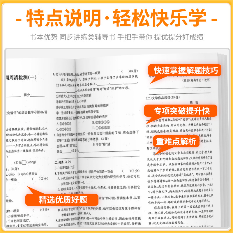 周周清检测八年级上册下册 语文数学英语科学全套试卷人教版浙教版初二必刷题单元期末测试卷课本同步练习册训练真题模拟考试卷子 - 图1