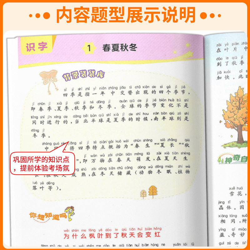 实验班小学语文课文同步阅读拓展一年级二年级三年级四年级五年级六年级上册下册部编人教版课文同步阅读理解短文训练课内外阅读书