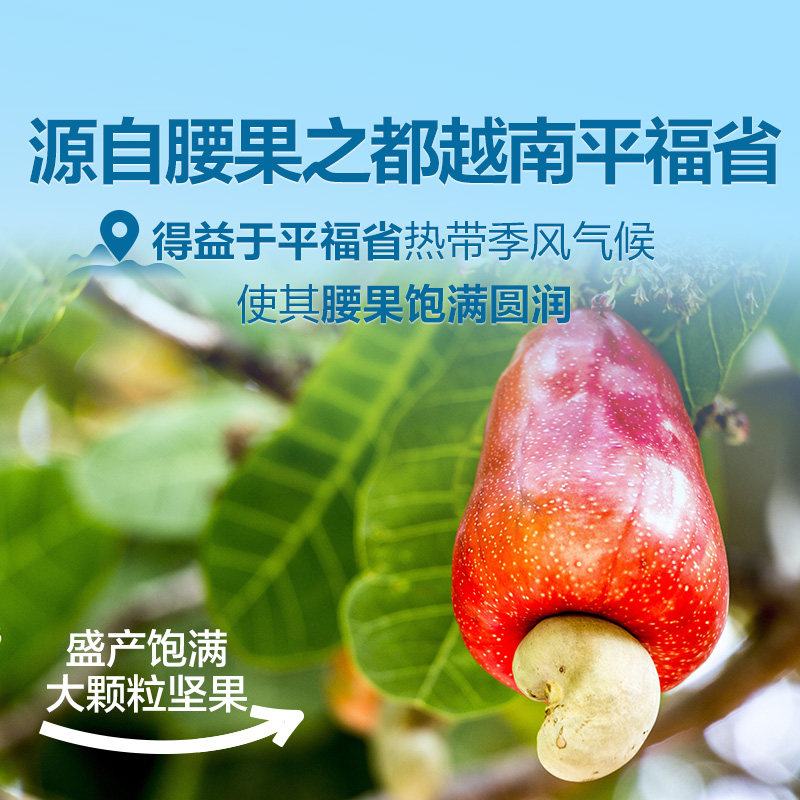 良品铺子腰果2025年新货紫皮原味越南坚果休闲零食坚果食品干果,淘宝优惠券,粉丝福利购,淘宝优惠卷