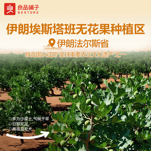 良品铺子无花果干青皮天然新鲜特产果干零食无添加糖果脯