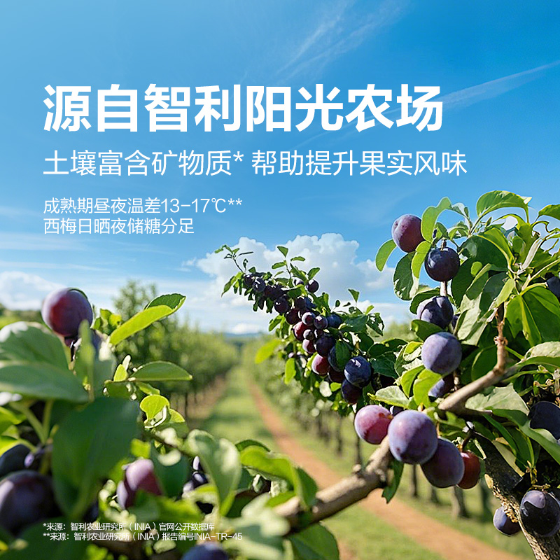 良品铺子西梅干加州大西梅纯西梅子孕妇健康零食话梅脯蜜饯果干