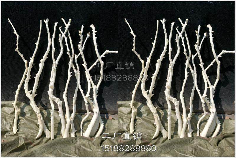 干树枝树干装饰树枝仿真树枝假树枝白树枝枯枝枯木干枝树枝_虎窝淘
