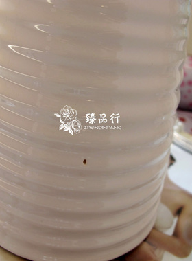 陶瓷多肉花瓶装饰品摆件