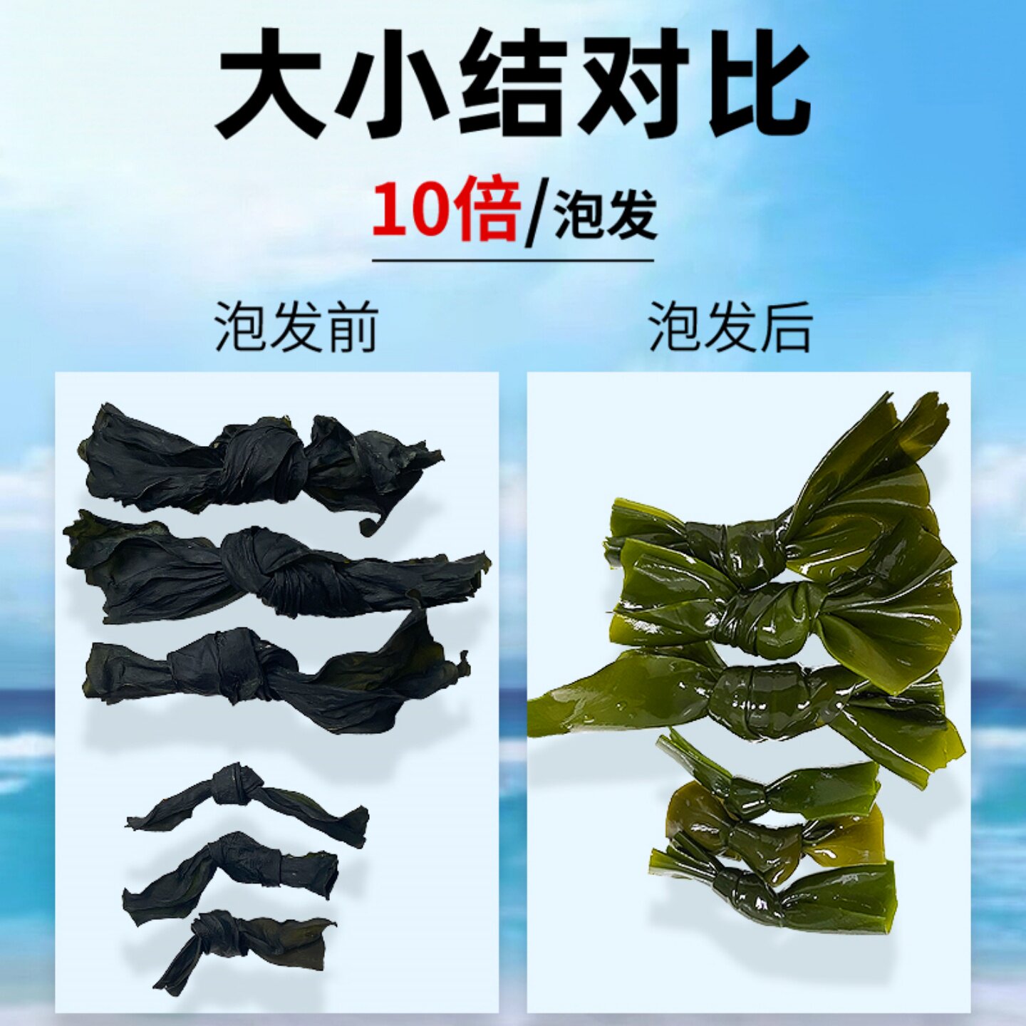 Kelp Knot Kelp Knot Kasumigaura Big Knot Small Knot
