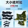 Kelp Knot Kelp Knot Kasumigaura Big Knot Small Knot