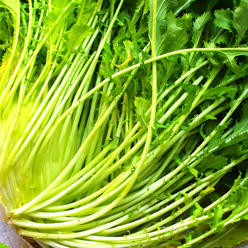 绍兴梅干菜干货笋干菜丝梅菜干正宗浙江上虞特产农家美食土特产 - 图0