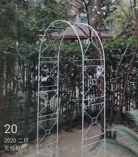 Садовая беседка из клематиса в европейском стиле