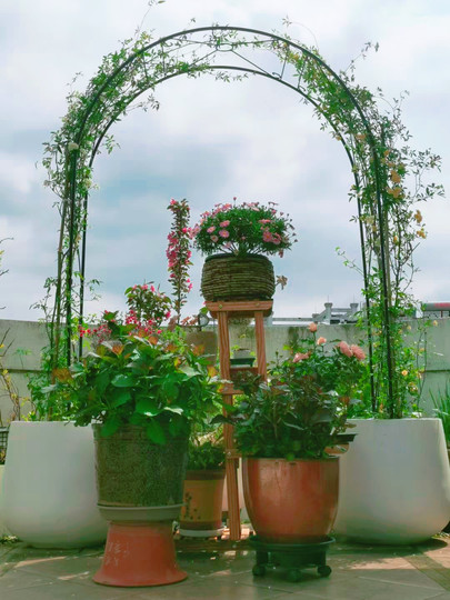 Садовая беседка из клематиса в европейском стиле