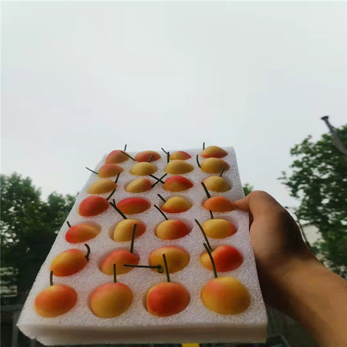 现货礼盒装2斤智利进口雷尼尔黄金车厘子新鲜时令水果黄色大樱桃,淘宝优惠券,粉丝福利购,淘宝优惠卷