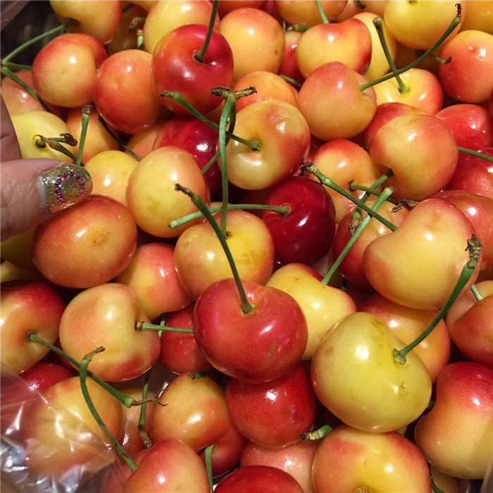 现货礼盒装2斤智利进口雷尼尔黄金车厘子新鲜时令水果黄色大樱桃,淘宝优惠券,粉丝福利购,淘宝优惠卷