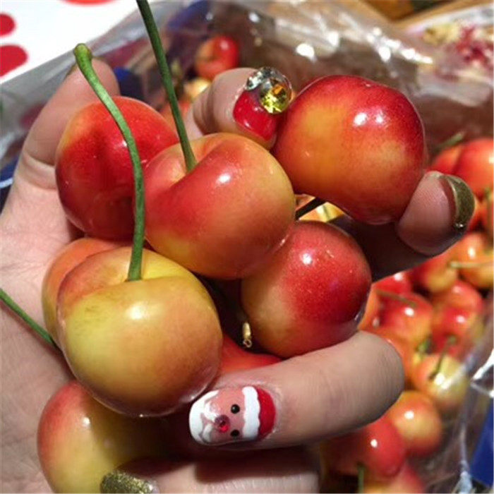 现货礼盒装2斤智利进口雷尼尔黄金车厘子新鲜时令水果黄色大樱桃,淘宝优惠券,粉丝福利购,淘宝优惠卷